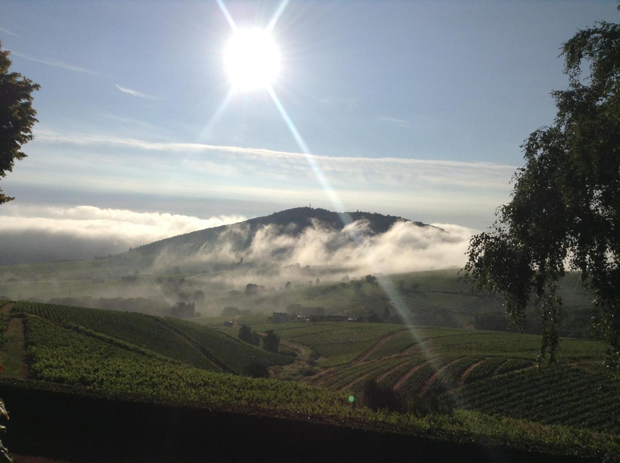 La Croix De Saburin Acomodação com café da manhã Quincié-en-Beaujolais Exterior foto