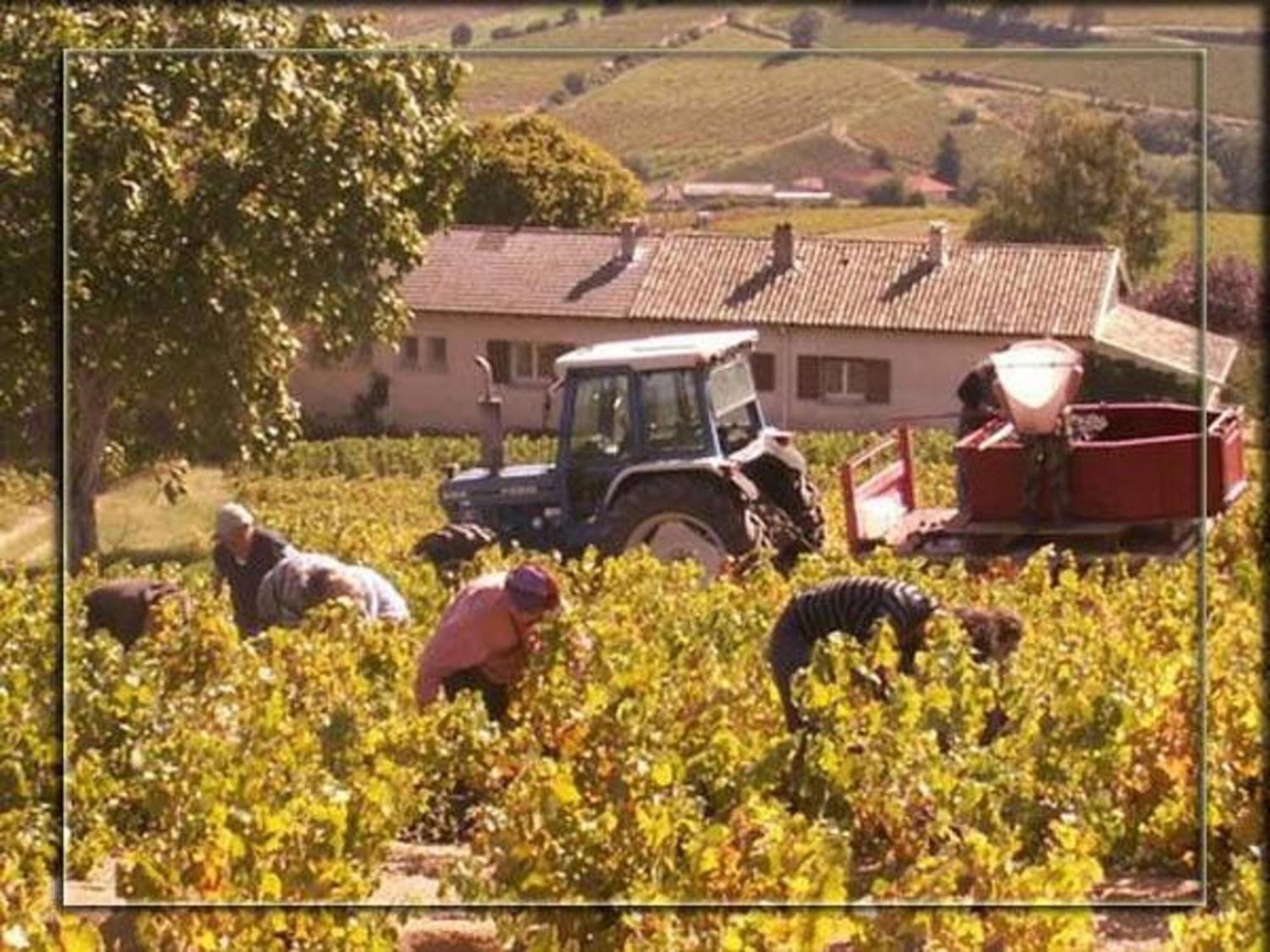 La Croix De Saburin Acomodação com café da manhã Quincié-en-Beaujolais Exterior foto